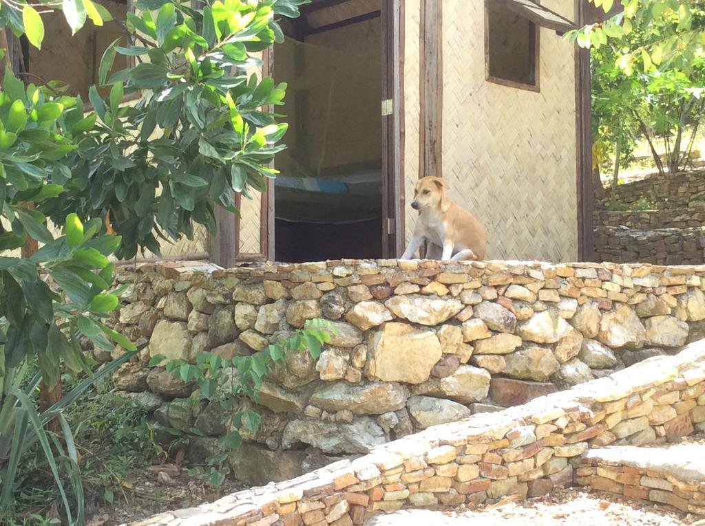 Busuanga Backpackers Hostel Concepcion  Ngoại thất bức ảnh