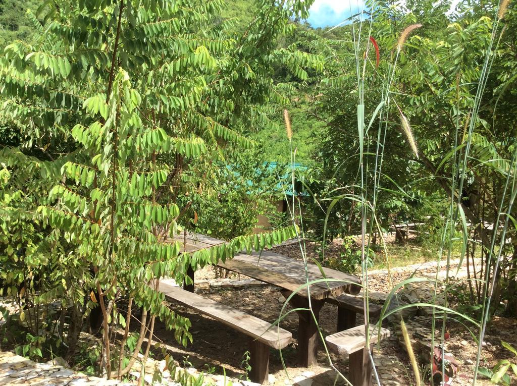 Busuanga Backpackers Hostel Concepcion  Ngoại thất bức ảnh