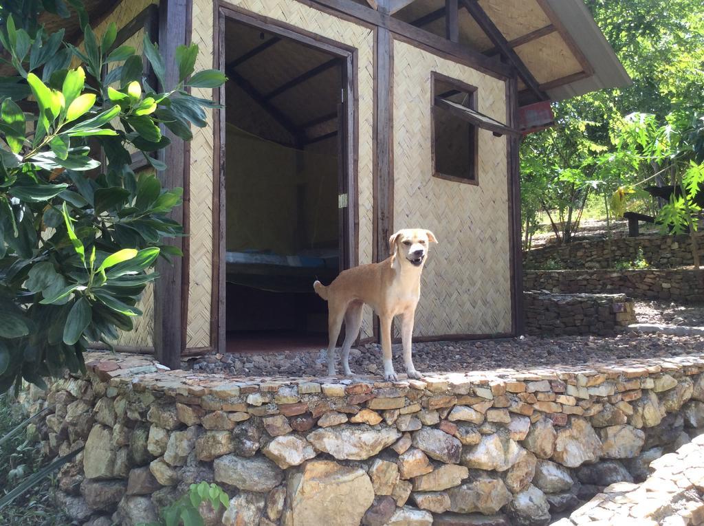 Busuanga Backpackers Hostel Concepcion  Phòng bức ảnh