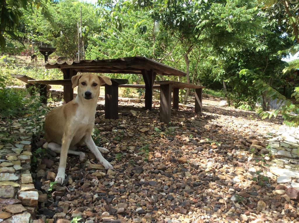 Busuanga Backpackers Hostel Concepcion  Ngoại thất bức ảnh