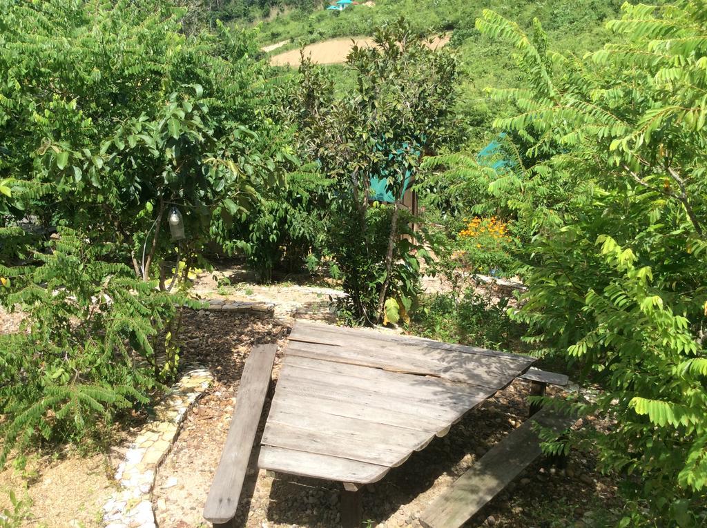 Busuanga Backpackers Hostel Concepcion  Ngoại thất bức ảnh