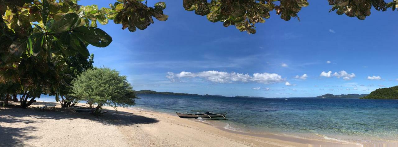 Busuanga Backpackers Hostel Concepcion  Ngoại thất bức ảnh
